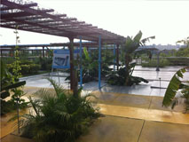 米兰体育在线网站